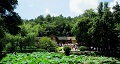 長沙出發(fā)到花明樓、韶山、張家界國家森林公園、天門仙山國家森林公園四日游